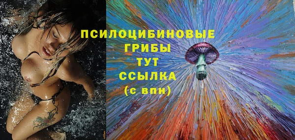 спайс Вяземский