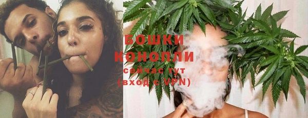 спайс Вяземский