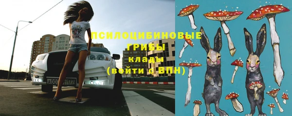 ECSTASY Слюдянка