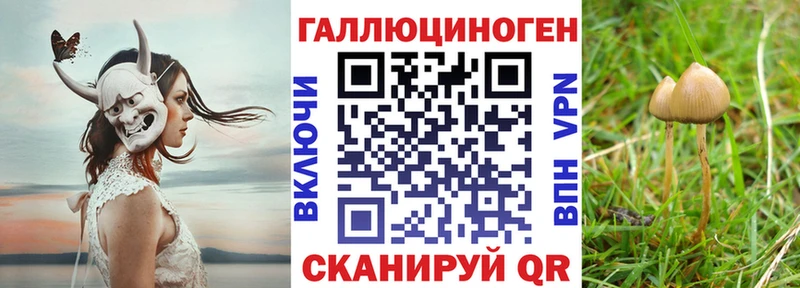 Псилоцибиновые грибы GOLDEN TEACHER Сыктывкар